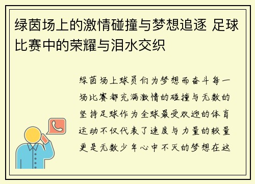 绿茵场上的激情碰撞与梦想追逐 足球比赛中的荣耀与泪水交织