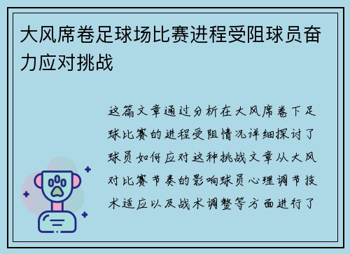 大风席卷足球场比赛进程受阻球员奋力应对挑战
