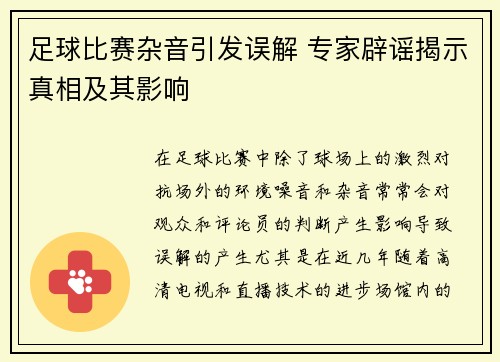 足球比赛杂音引发误解 专家辟谣揭示真相及其影响