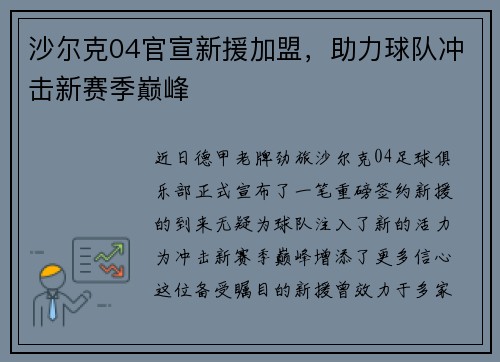 沙尔克04官宣新援加盟，助力球队冲击新赛季巅峰