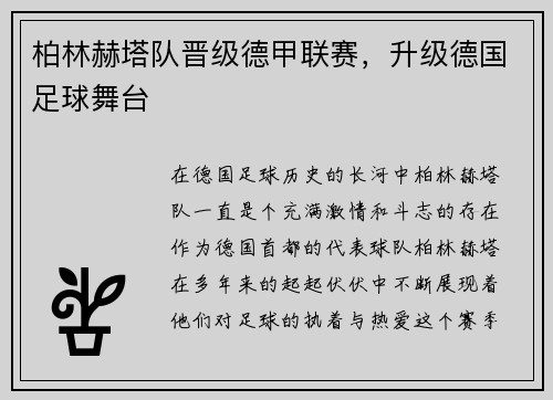 柏林赫塔队晋级德甲联赛，升级德国足球舞台