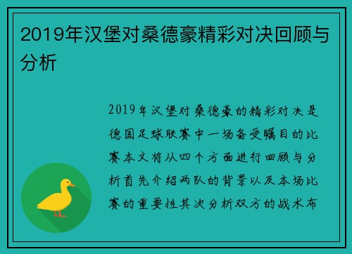 2019年汉堡对桑德豪精彩对决回顾与分析