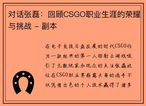 对话张磊：回顾CSGO职业生涯的荣耀与挑战 - 副本